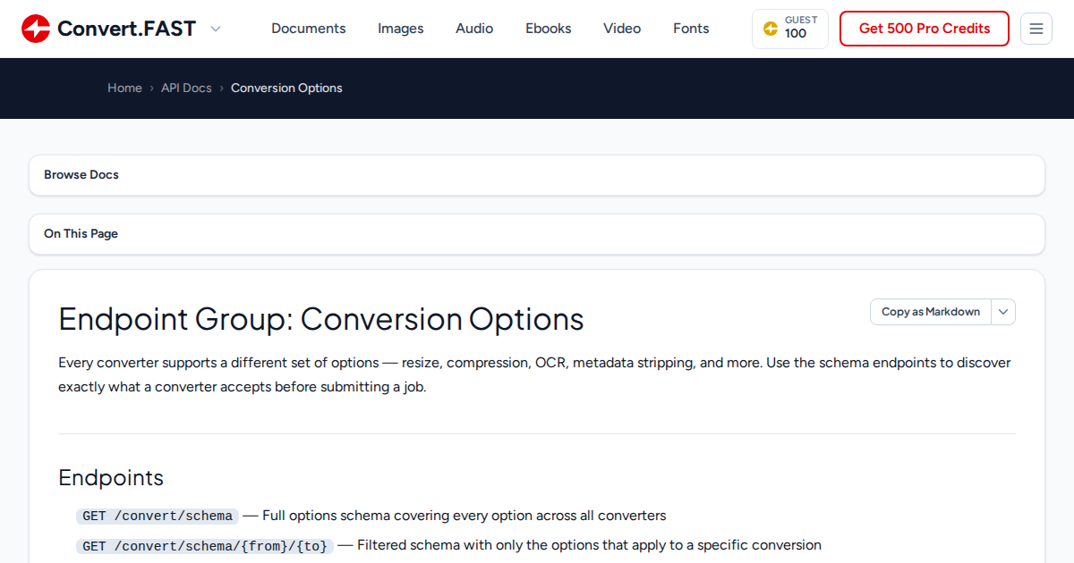 Conversion Options | Convert.Fast API